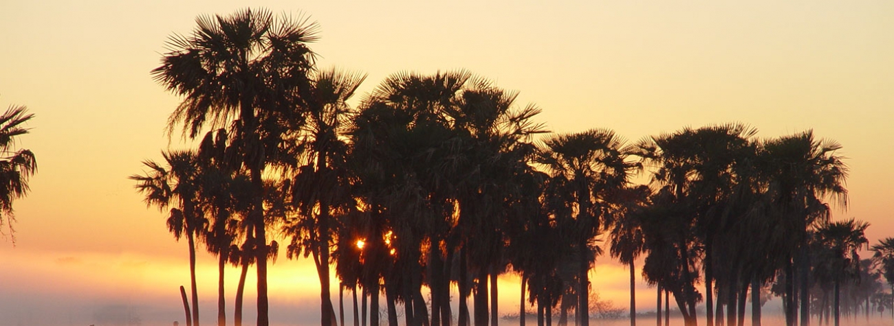 Amanecer en el Palmar