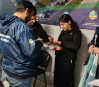 15206