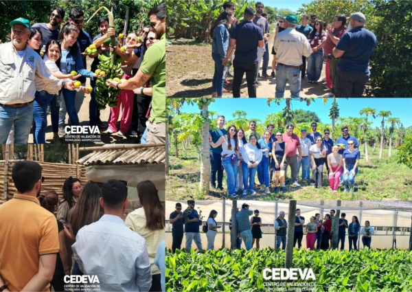 El CEDEVA recibió a alumnos del Programa Gestión para el Desarrollo del CFI