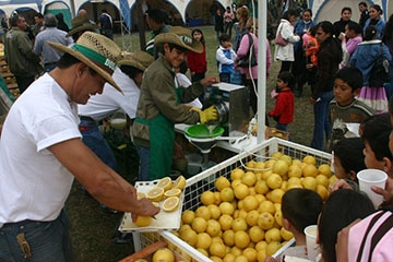 Posponen la Fiesta del Pomelo.