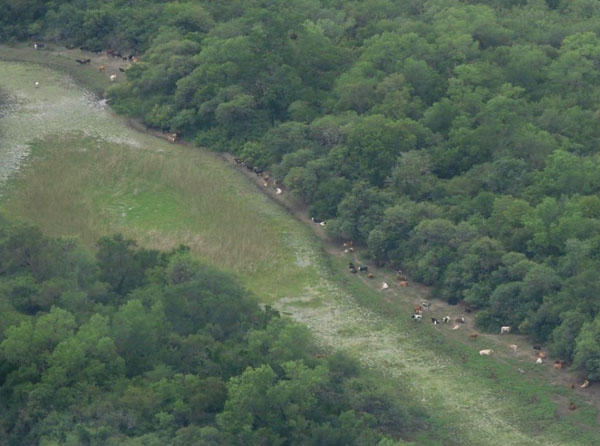 La provincia trabaja en ambiciosos proyectos ambientales; investigar con drones desde el aire.