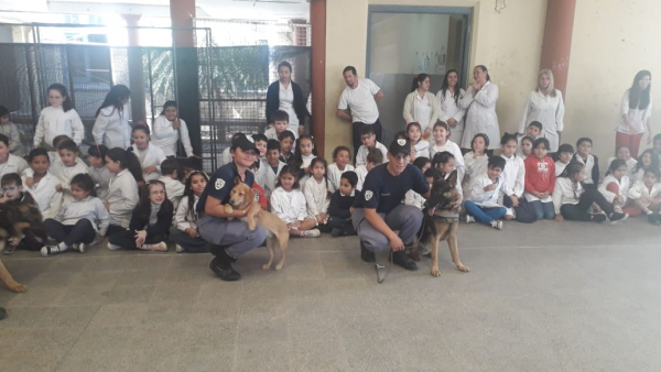 Exhibición y destreza de perros policiales en una escuela.