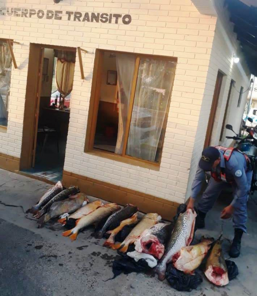 Control Policial Acceso Norte: Durante control de rutina secuestraron pescados