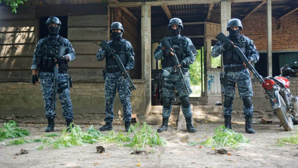 Lucha contra el narcomenudeo La Policía secuestró plantas de marihuana  y detuvo a dos personas en un allanamiento