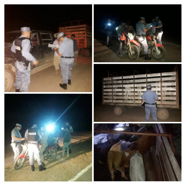 Amplio operativo policial en la localidad de Ingeniero Ju�rez.