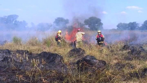 Incendios de pastizal: en el mes de febrero el Cuerpo de Bomberos  registr� 150 intervenciones en la provincia