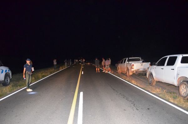 Siniestro vial sobre la ruta Nacional 81 dej dos muertos y un herido en Las Lomitas.