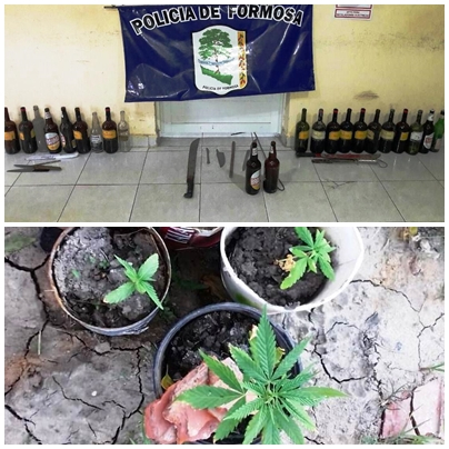 Lote 111: secuestran plantines de marihuana y armas  blancas en allanamientos; hay tres detenidos