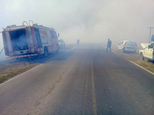 La Primavera: siniestro vial con vctima fatal sobre ruta nacional N 86