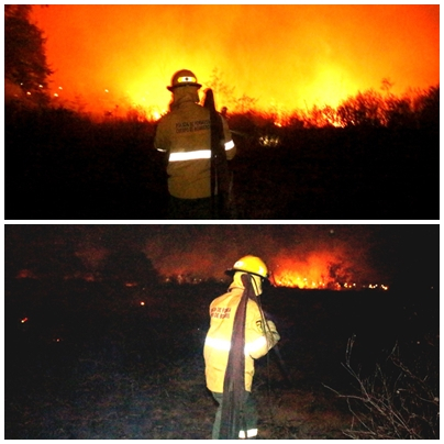 El Cuerpo de Bomberos registr 1.511 intervenciones por  incendio de pastizal en lo que va del ao en la provincia