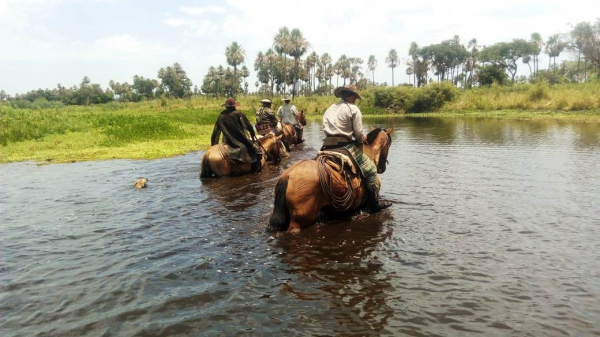 La Unidad Especial de Asuntos Rurales (UEAR) cumple 43 aos