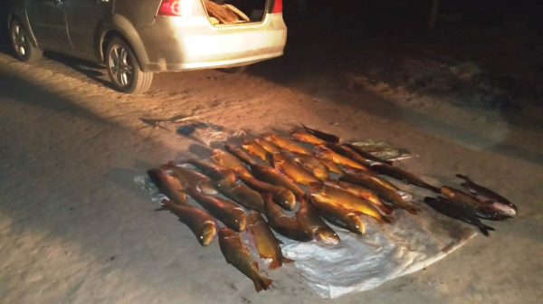 Las Lomitas:  La Polica secuestr pescados transportados en un  vehculo sin respetar las condiciones de salubridad