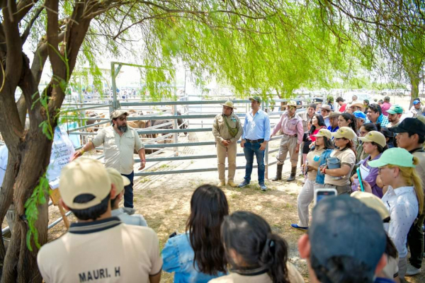 CEDEVA Laguna Yema comparti avances de validacin en Ganadera Regenerativa en Ingeniero Jurez