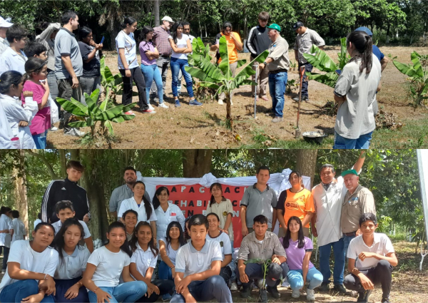 CEDEVA Ceibo Trece dict jornadas sobre cultivo de banano