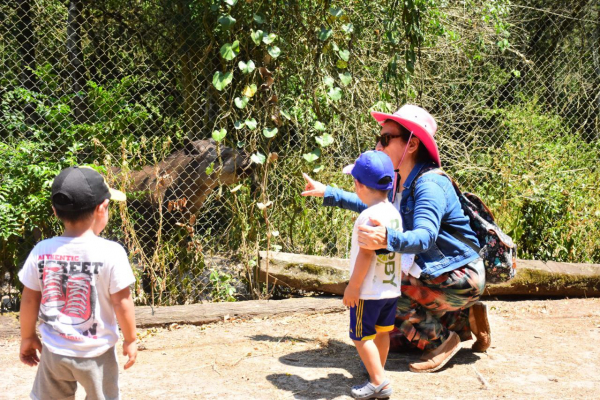 Guaycolec se posiciona como una de las opciones para visitar en vacaciones de verano