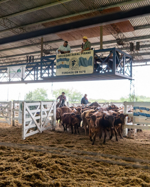 El MPyA acompañó la XIX Expo del Ternero y Novillito en Pirané