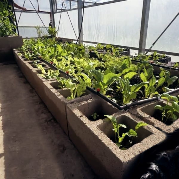 Vivero Inteligente: Tecnología al servicio de los pequeños productores