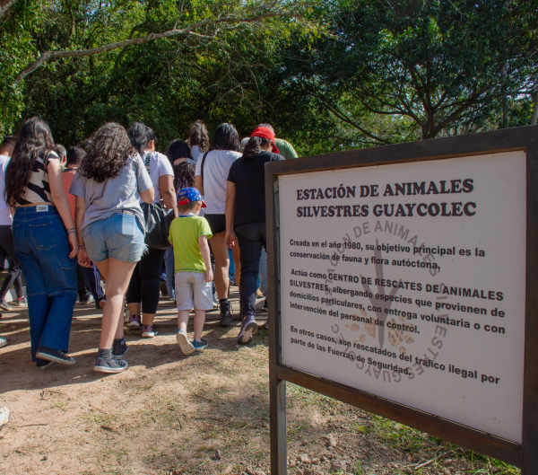 Éxito total en vacaciones: Más de dos mil personas visitaron la Reserva Guaycolec