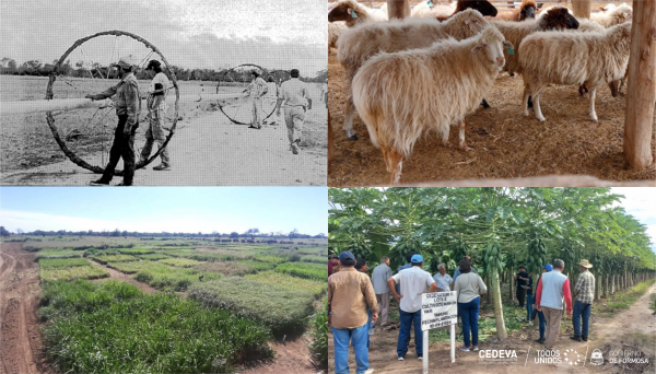 El CEDEVA celebra su 28° aniversario: Una institución clave para el desarrollo agropecuario de Formosa