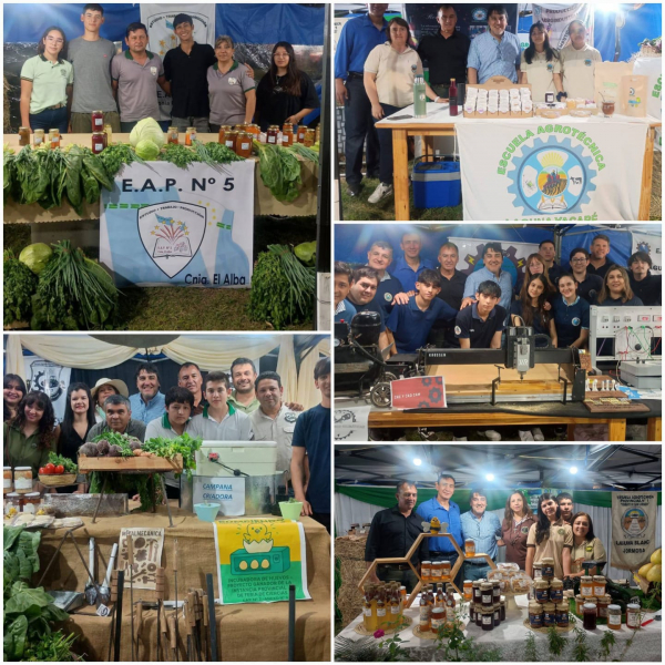 Stands educativos en la Fiesta del Pomelo