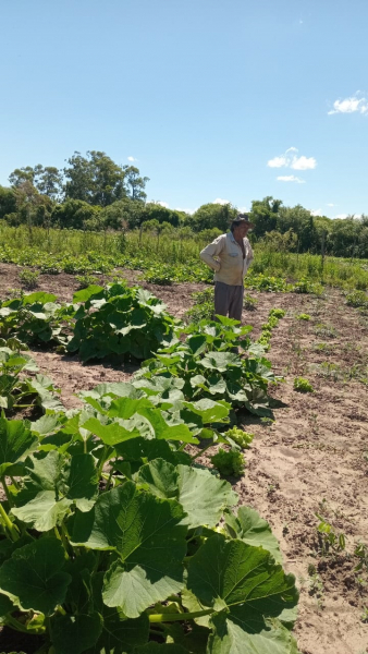 Visita en la Comunidad Aborigen El Naranjito- Misi�n Laish�