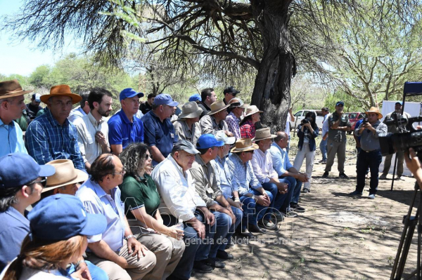 La Feria Ganadera Paippera en Puerto Irigoyen alcanz� precios de excelencia en la regi�n