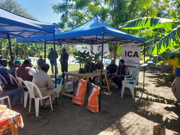 Jornada sobre manejo y fertilizaci�n en banana