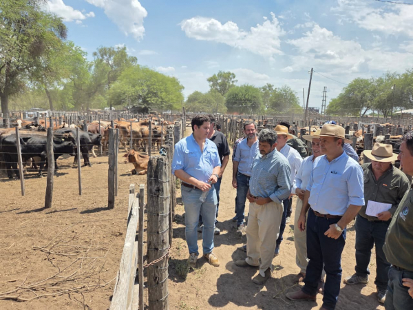 Exitoso remate de invernada en Las Lomitas: 