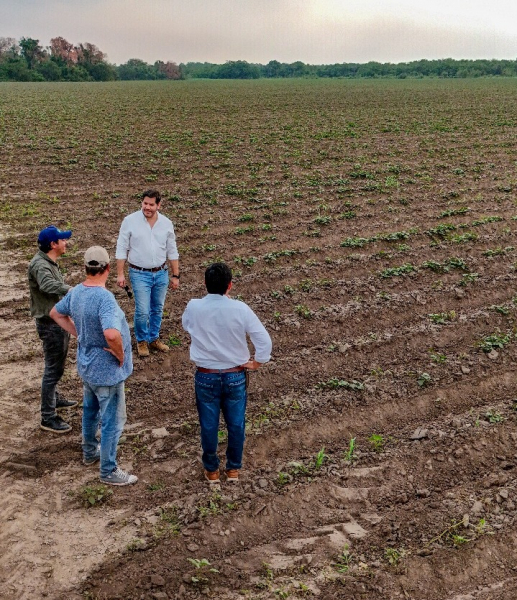 Formosa, tercera productora nacional de batata