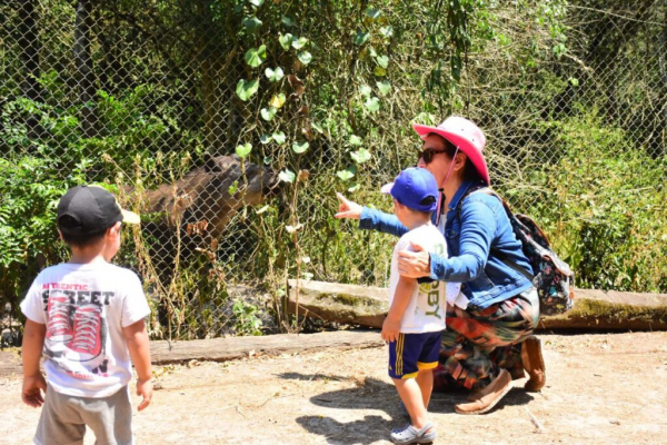 Por tareas de mantenimiento, Guaycolec cierra este fin de semana