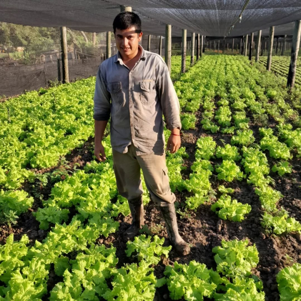 El PAIPPA acent�a acciones de cara al inicio de la siembra de segunda