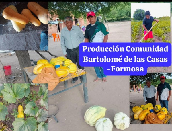 Actividades de cosecha