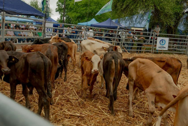 Planifican el primer remate feria en el paraje El Quemado Nuevo