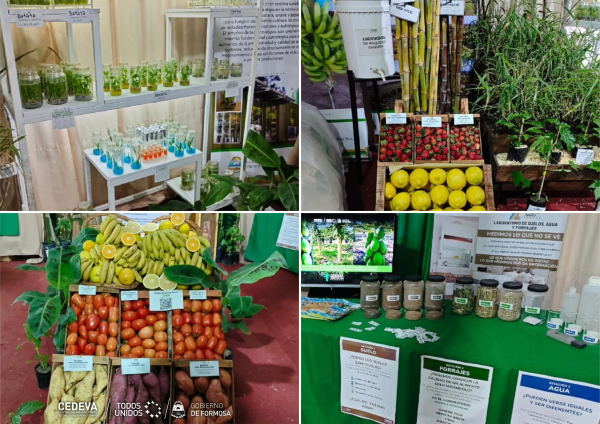 CEDEVA particip� en la 42� Fiesta Nacional del Pomelo