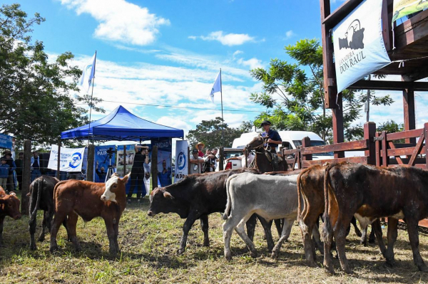 En junio se preparan tres remates ganaderos en distintos puntos de la provincia de Formosa