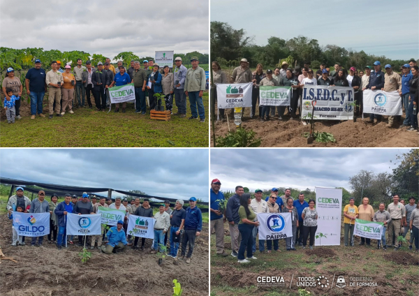 Se dictaron Talleres pr�cticos de capacitaci�n y plantaci�n de mam�n con el objetivo de fortalecer la producci�n local en el interior provincial
