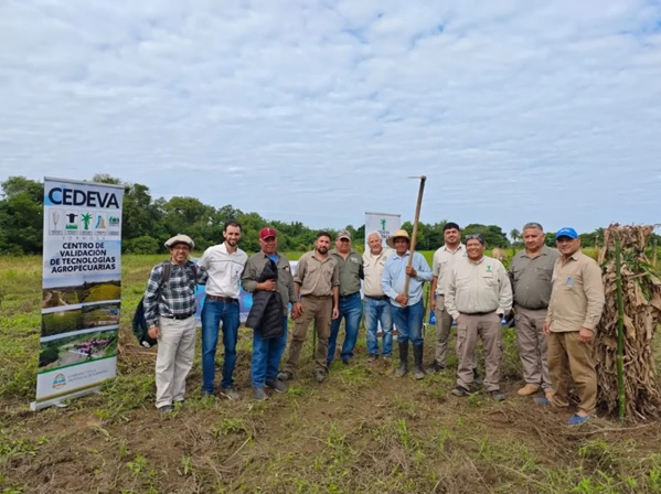 C�mo proteger el mango de las heladas: El CEDEVA realiz� jornadas clave en el norte de Formosa