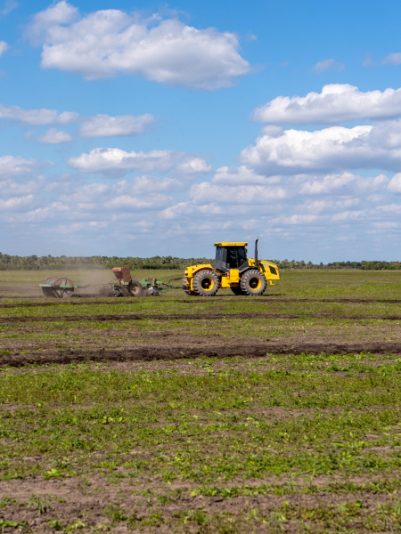 Arroz con valor agregado en origen y empleo rural desde Villa Escolar