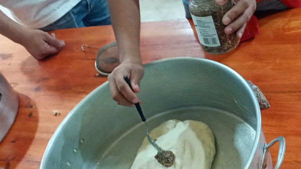 NABOLE, CULTURA Y VIDA