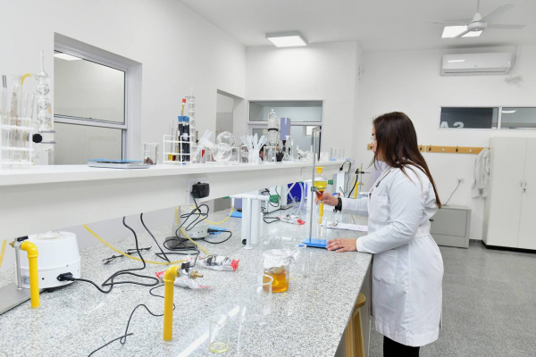 Remarcan la importancia del gabinete interdisciplinario del IPF