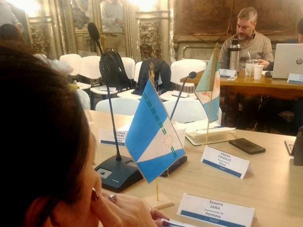 Discapacidad: Formosa participó del COFEDIS en un escenario nacional complejo