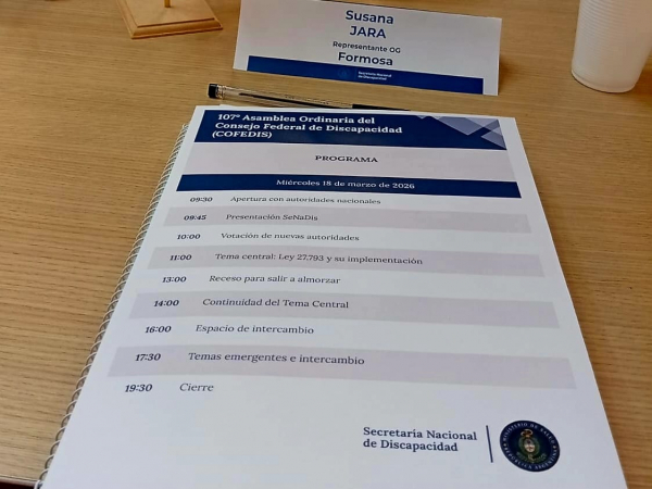 Discapacidad: Formosa participó del COFEDIS en un escenario nacional complejo