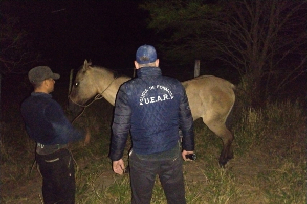 Policías frustraron un hecho de abigeato y secuestraron elementos de interés